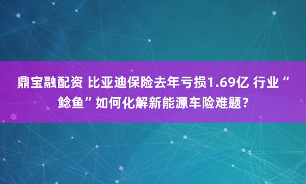 鼎宝融配资 比亚迪保险去年亏损1.69亿 行业“鲶鱼”如何化解新能源车险难题？