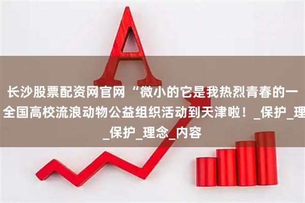长沙股票配资网官网 “微小的它是我热烈青春的一分子”，全国高校流浪动物公益组织活动到天津啦！_保护_理念_内容